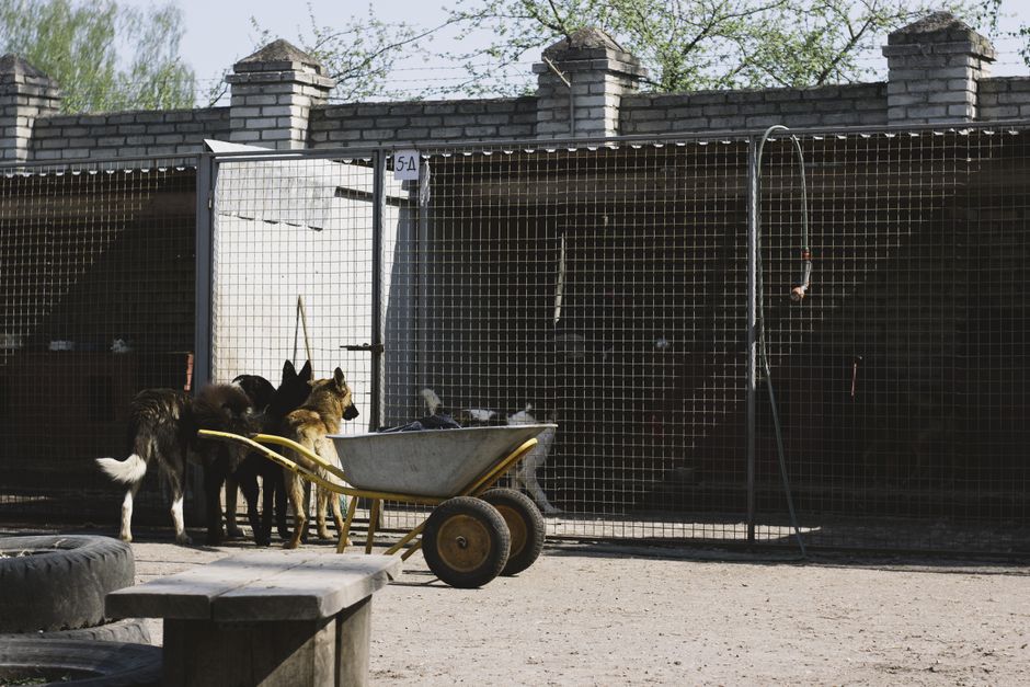 pet boarding facility