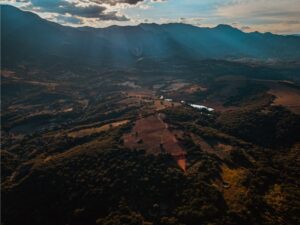 empresa topografía