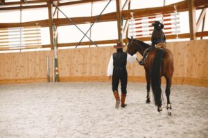 horse riding lessons