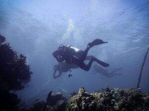 curso buceo certificación